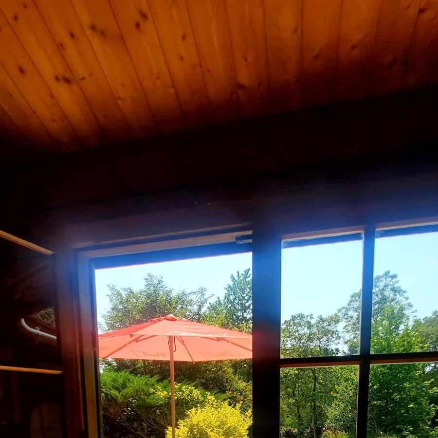 Chalet En Pleine Nature Au Bord D'Un Etang Lanvallay Exterior foto